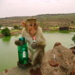 Miten luonnosta löytää juomakelpoista vettä