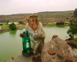 Miten luonnosta löytää juomakelpoista vettä