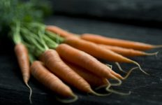 Porkkanan istutus ja kasvatus kotona